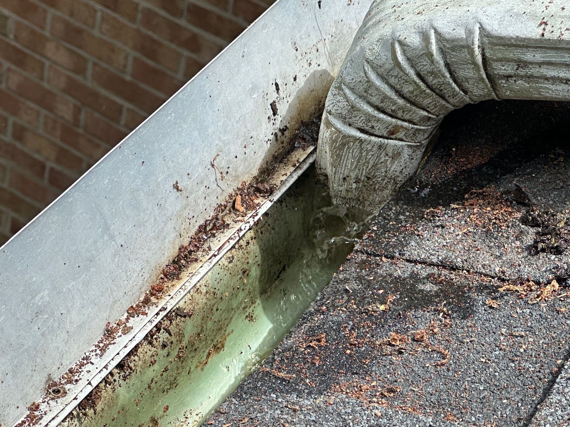 Effective Gutter Cleaning Prevents Water Damage