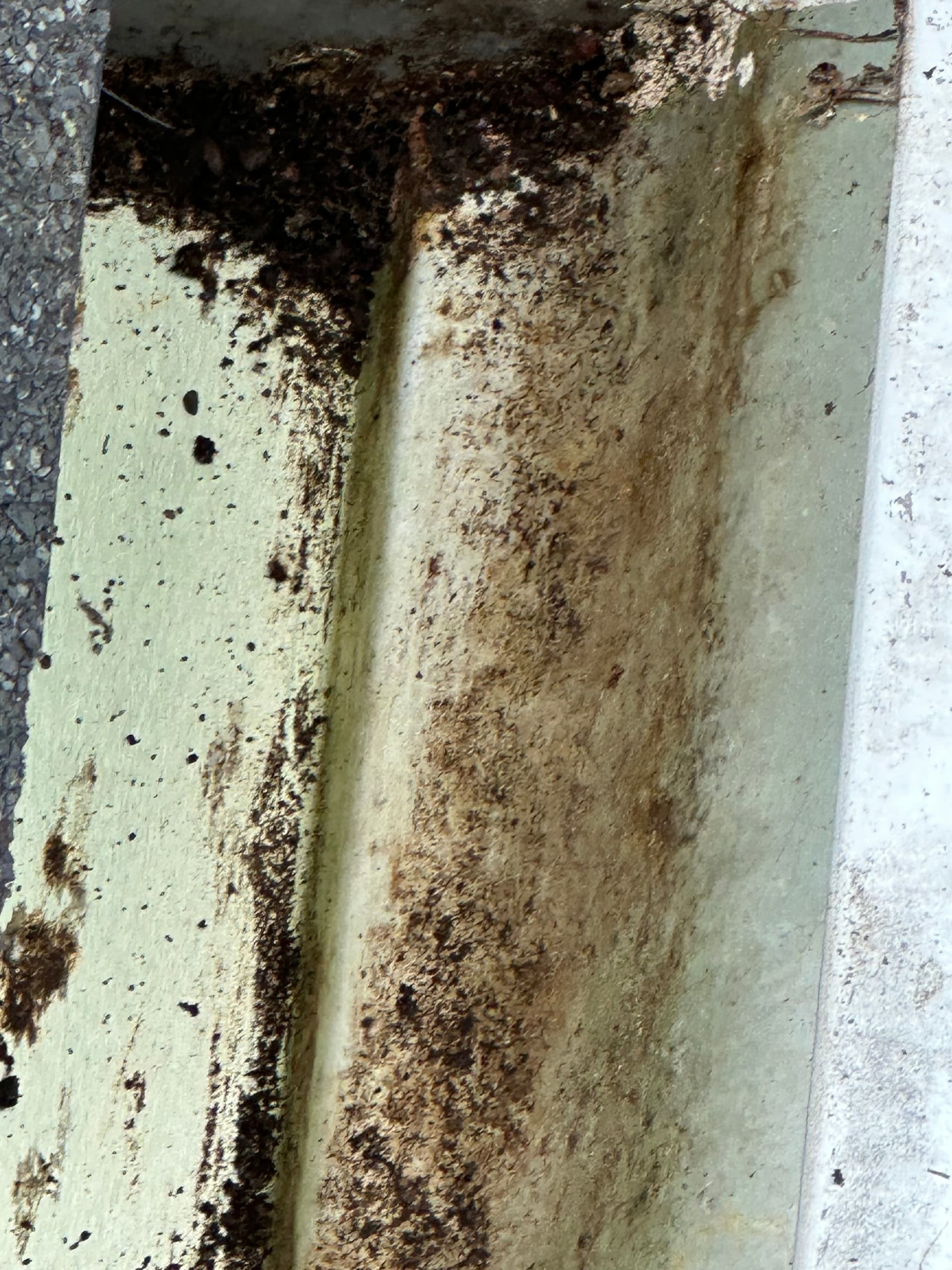 Effective Gutter Cleaning Prevents Water Damage