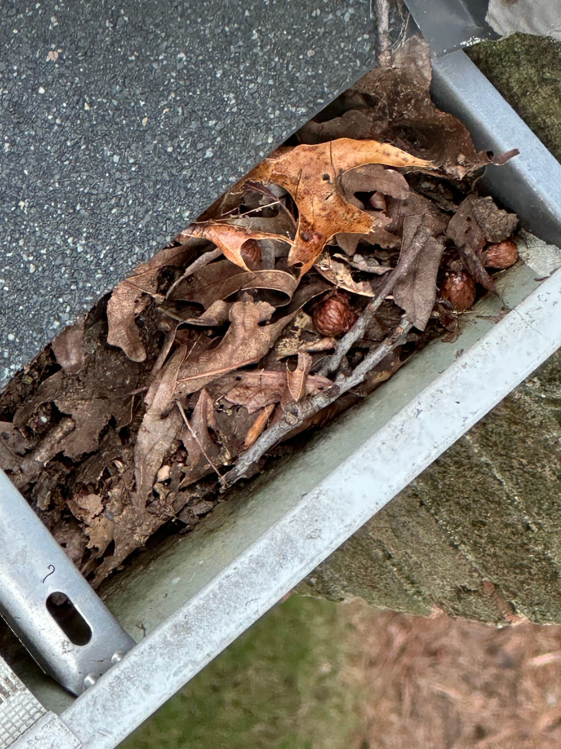 Effective Gutter Cleaning Prevents Water Damage